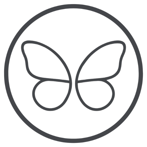 Butterfly Born
